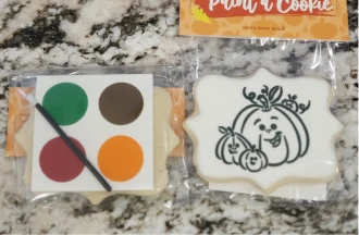 Paint-a-cookie kit